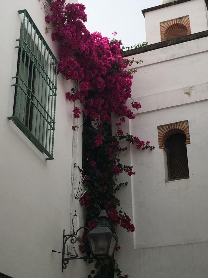 Apartamentos La Hoguera Cordoba Exterior photo